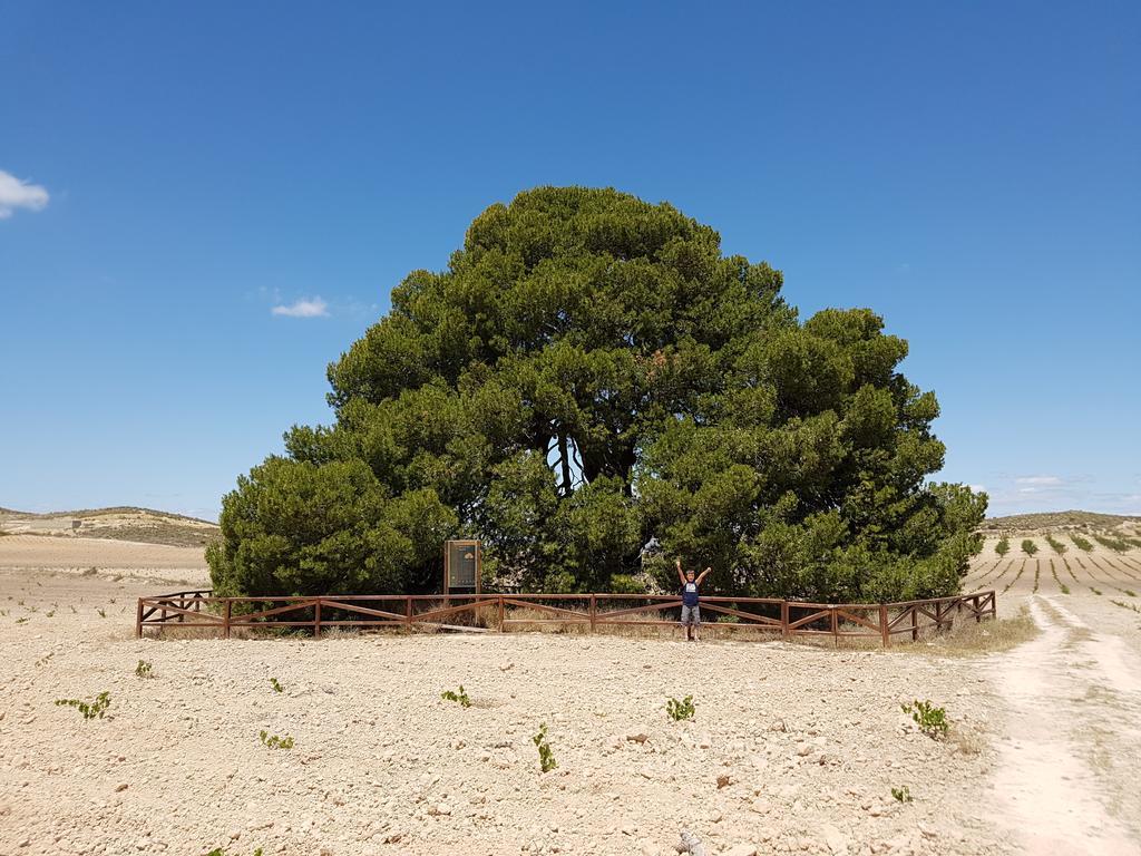 Cortijo De Los Castellanos Las Ventanas Exterior foto